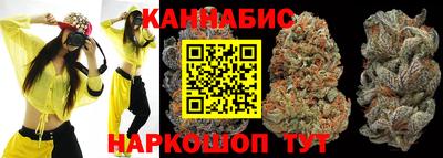 сатива Ачхой-Мартан